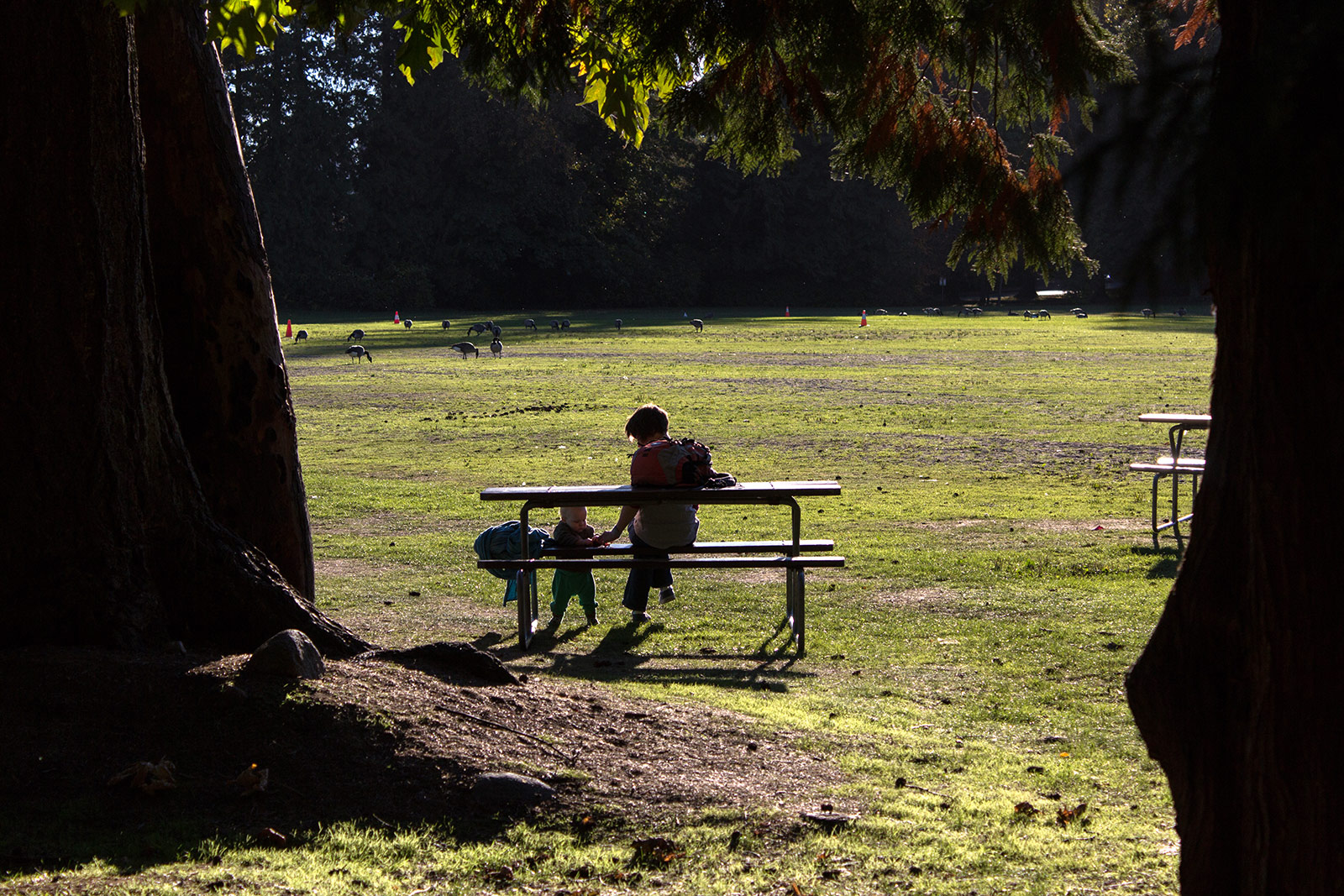 Albert and Agnieszka playing in the park.