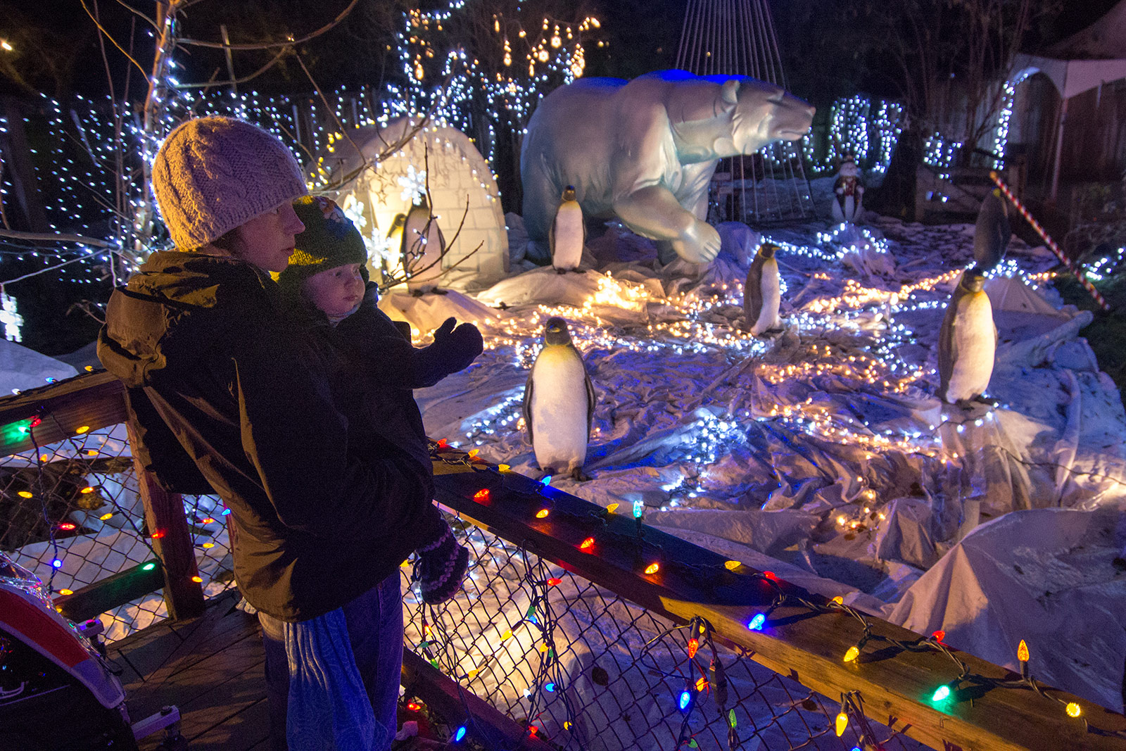 Aga and Albert and the Polar Bear