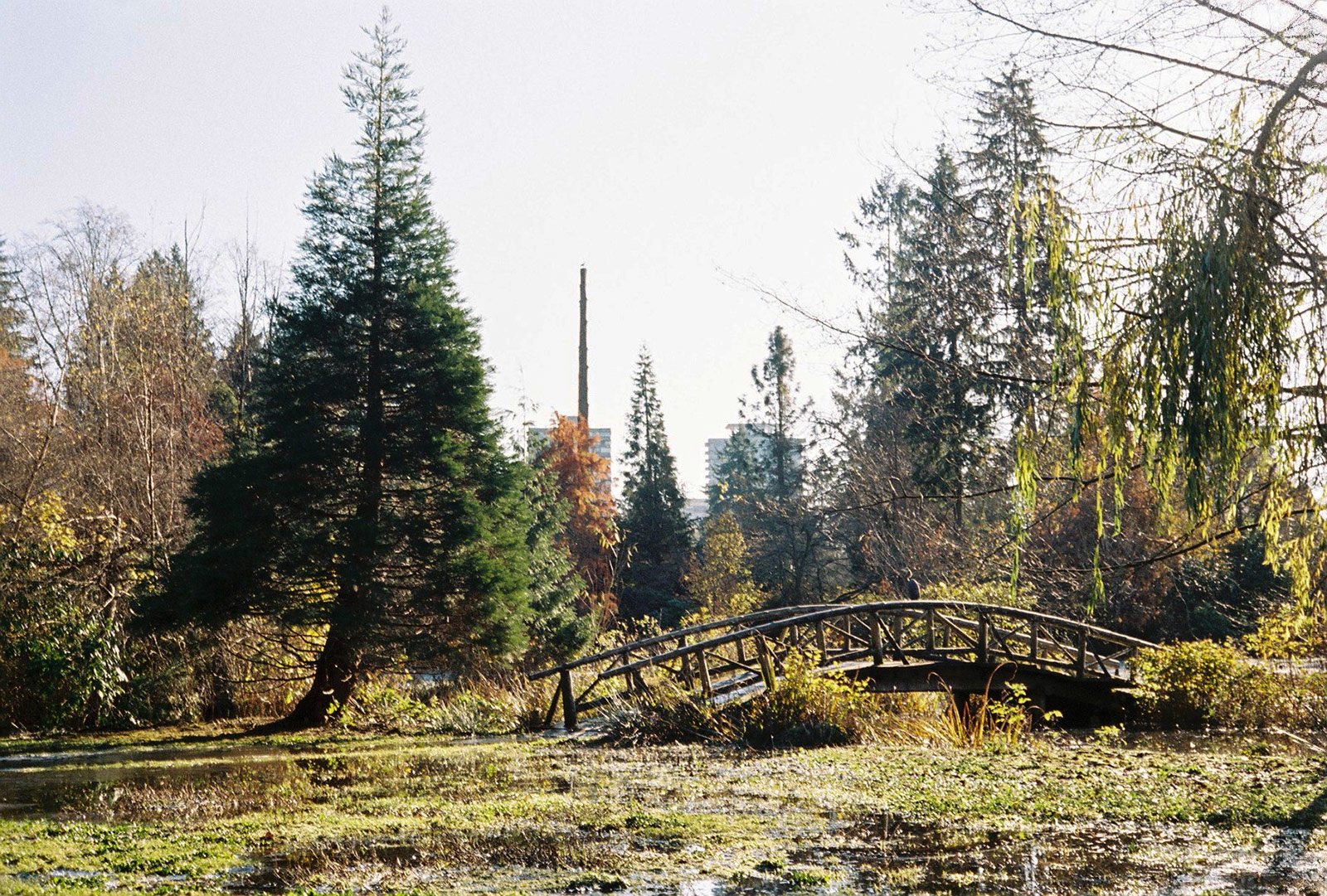Lost Lagoon in Stanley Park