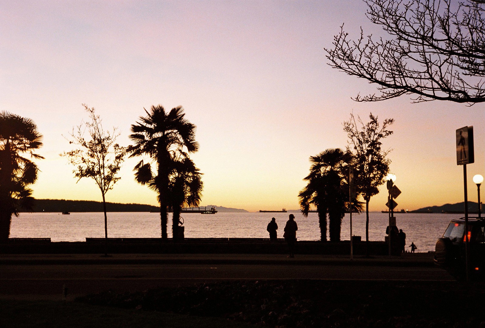 English Bay with Palm Trees