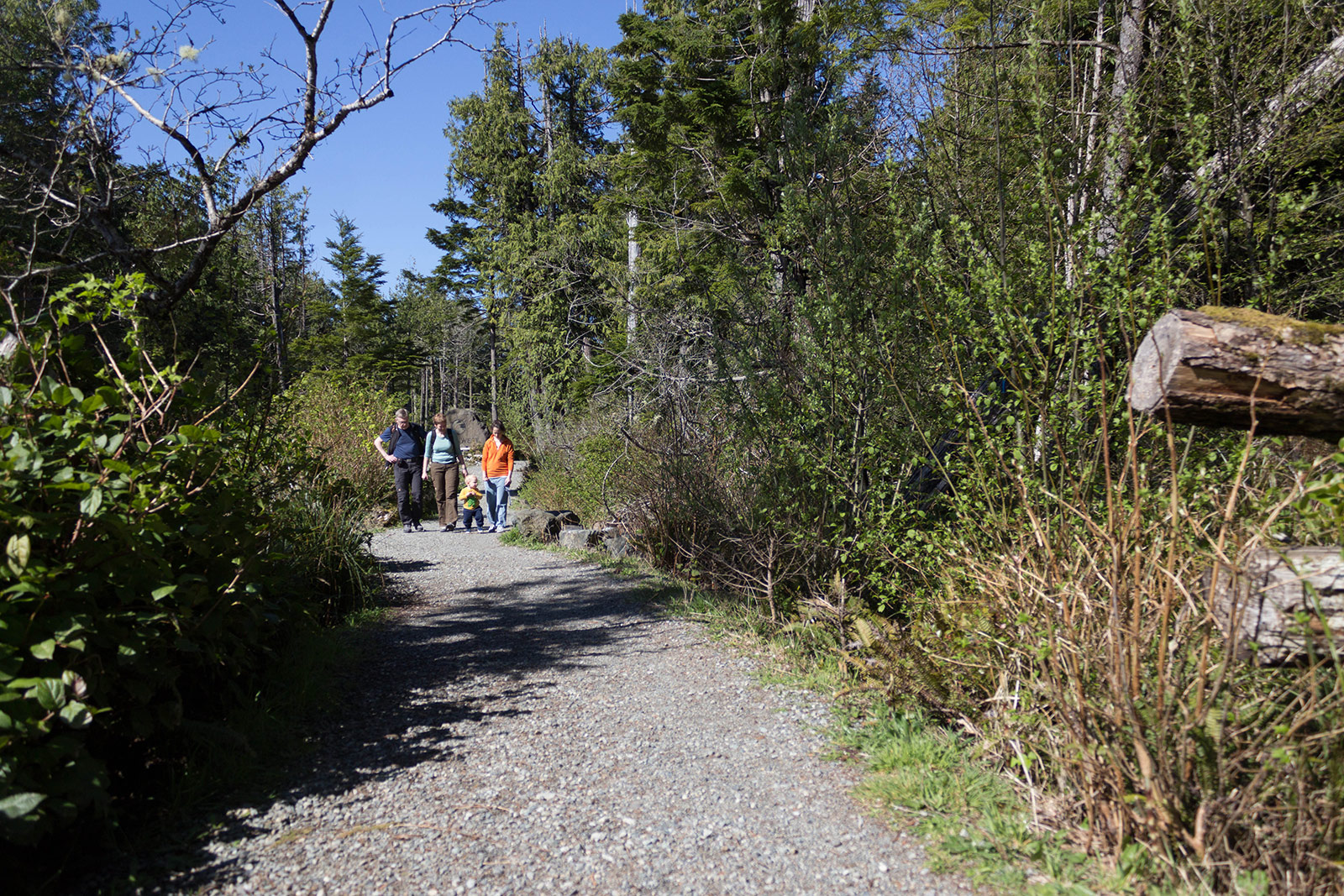 Wild Pacific Trail