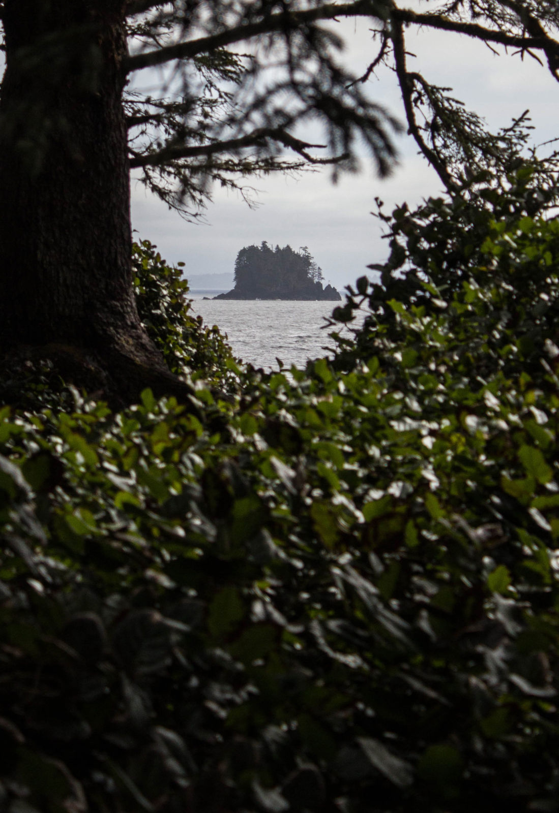 Lighthouse trail