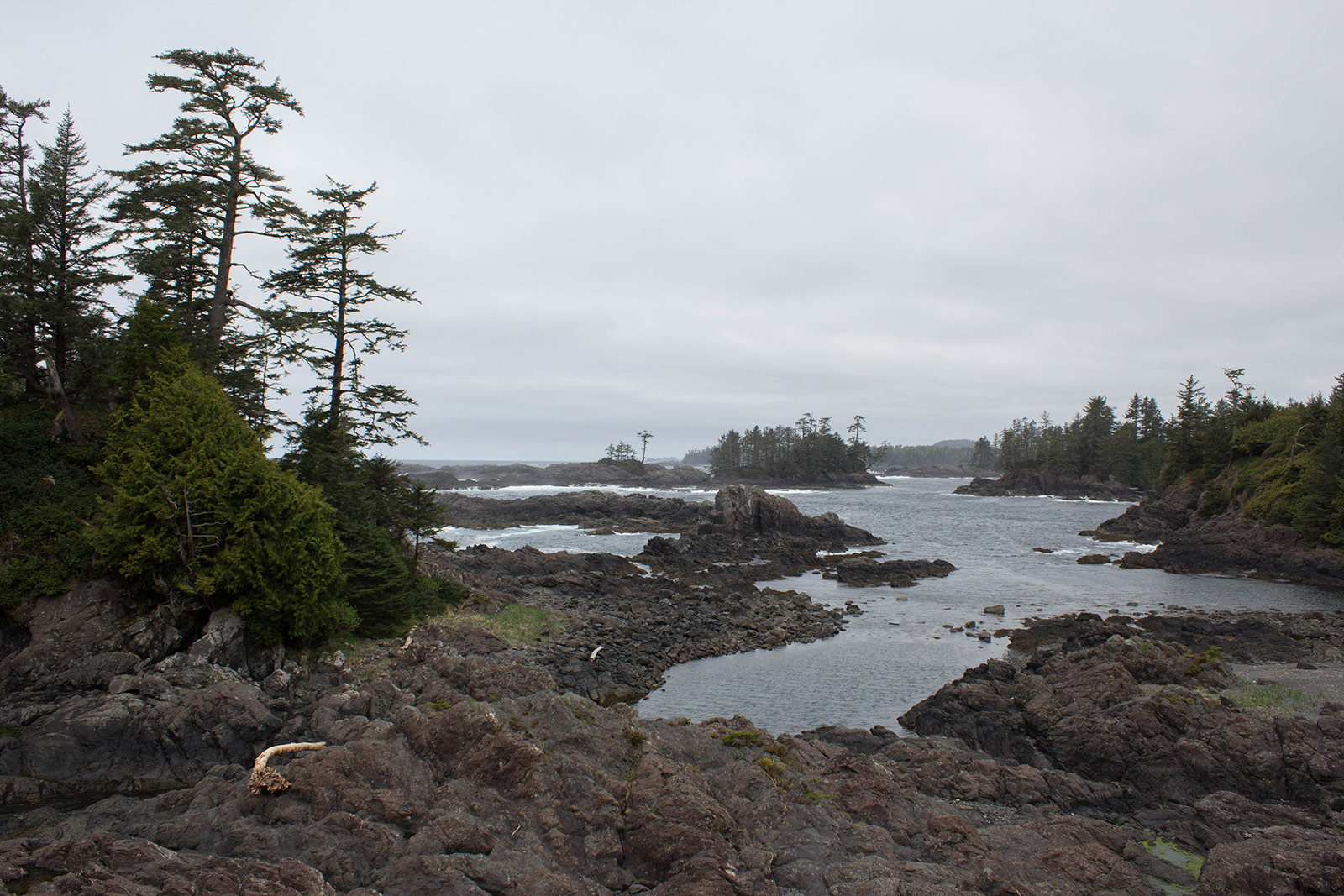Rocky coast