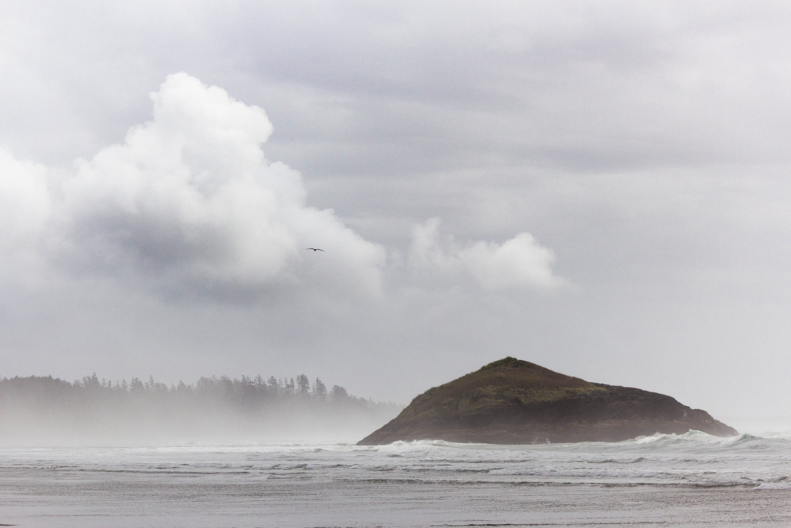 Stormy weather