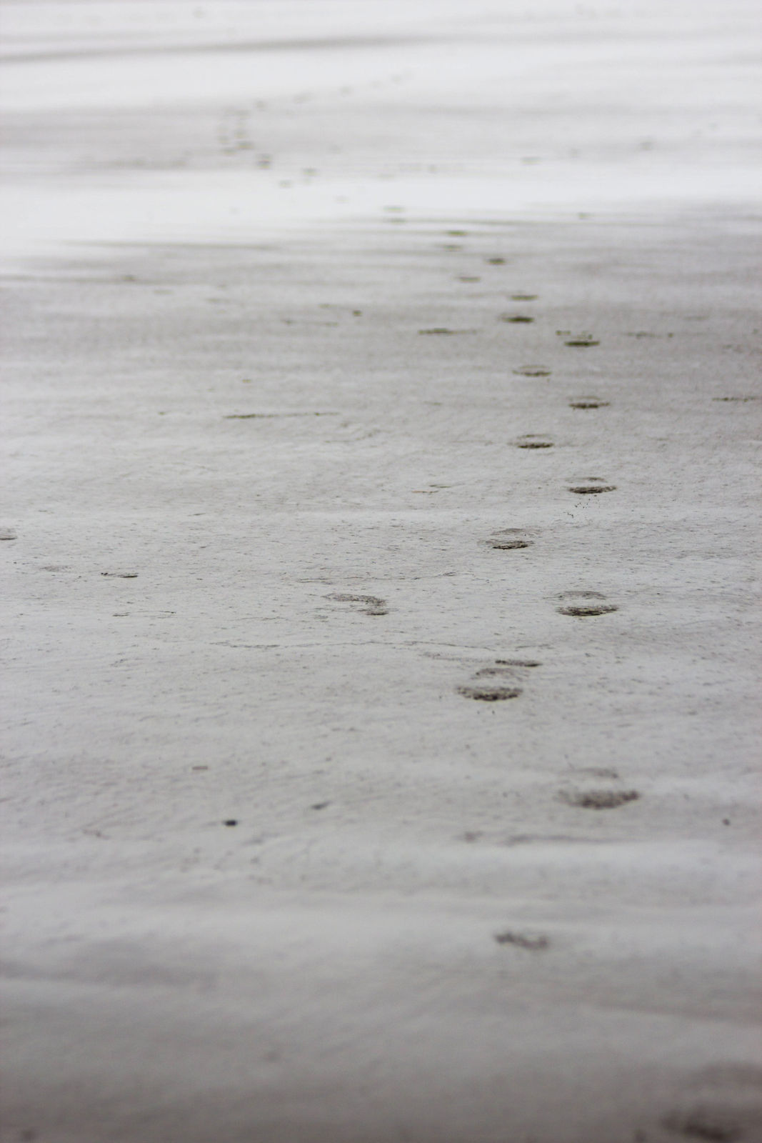 Foot prints