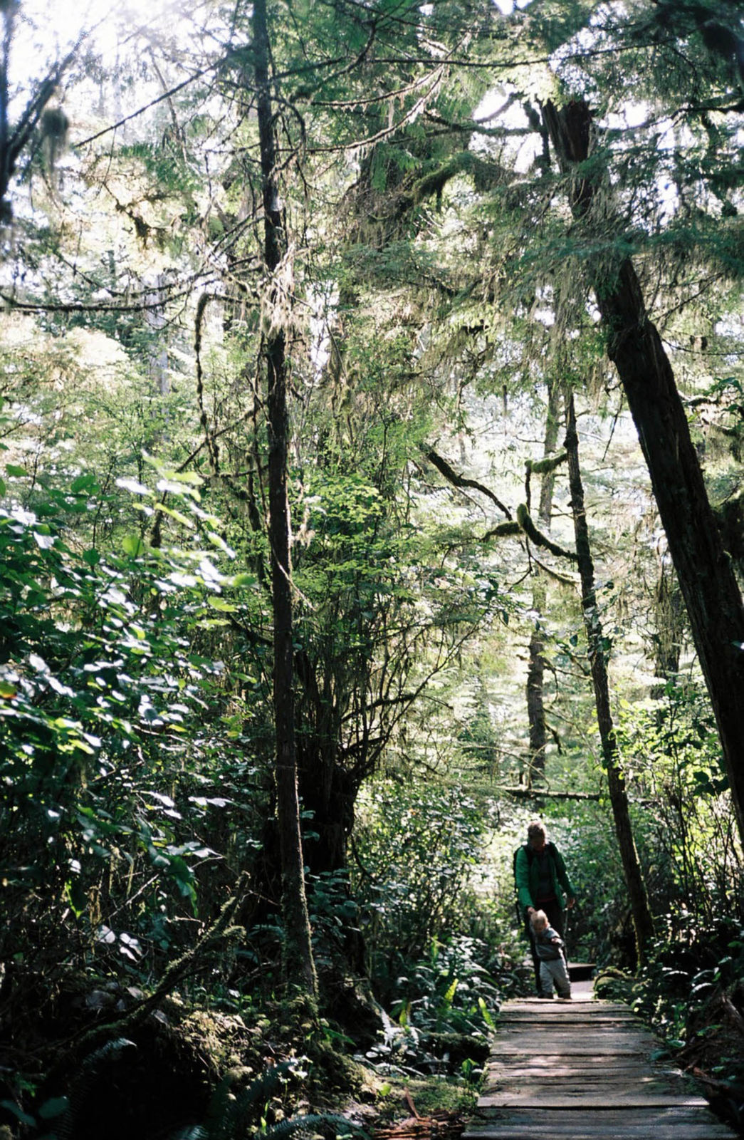 Walking