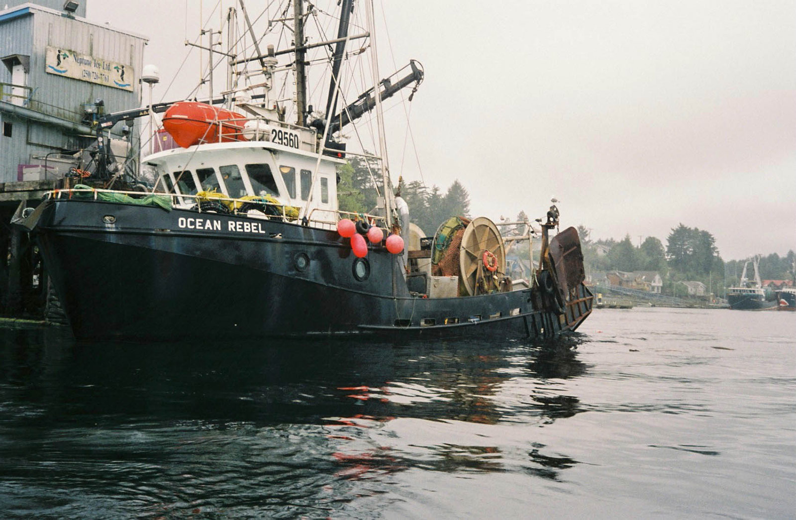 A fishing boat in the port